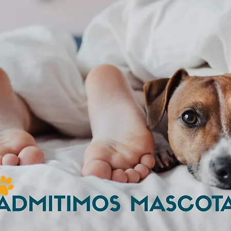 Loft Vilagarcia 3000 아파트 빌라가르시아 데 아로우사