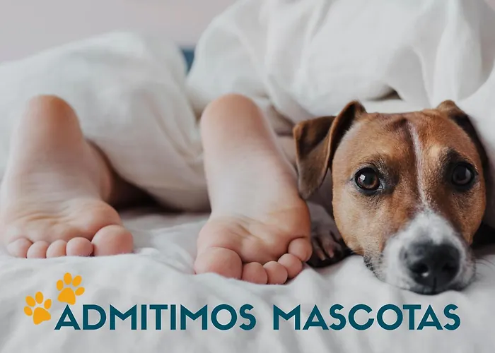 Loft Vilagarcia 3000 Апартаменты Вильягарсия-де-Ароса